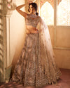Lehenga - Light Brown J414